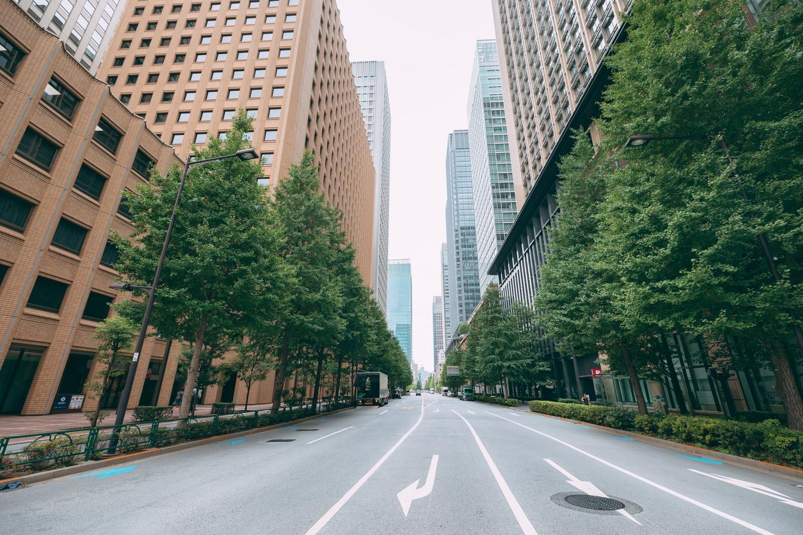 街路樹が続く大通り（参考画像）