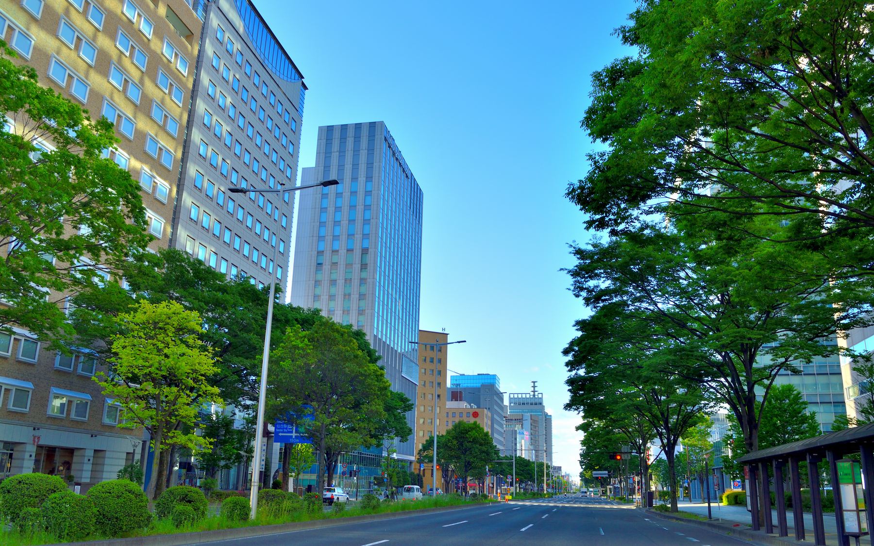 仙台市中心部の並木道